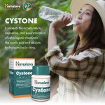 Hiamlaya Cystone For Healthy Kidneys-100tab - Image 3