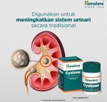 Hiamlaya Cystone For Healthy Kidneys-100tab - Image 5