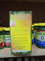 Applied Nutrition Green Tea Fat Burner -200 soft gel - Image 6