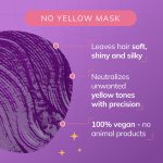 Fanola No Yellow Mask Anti-Yellow Mask 350ml - Image 4